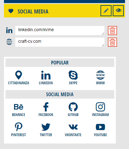 social media in cv